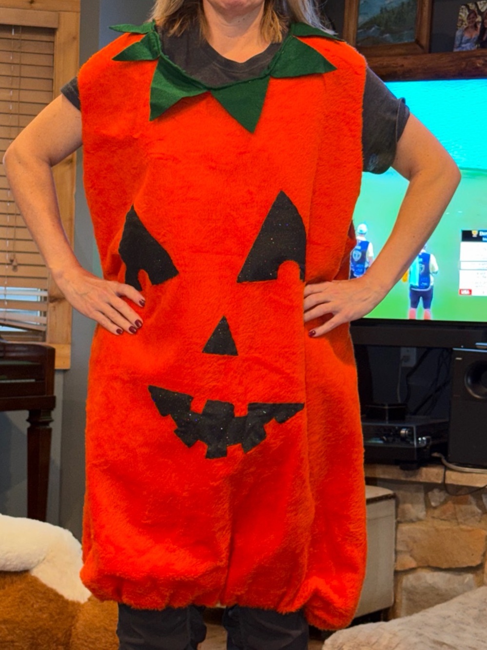 Pumpkin Costume Orange Black Jack-o-lantern Adult Funny Handmade Cozy Men Women
